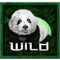 bamboo-bear-wild