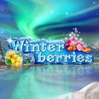 winterberries-slot