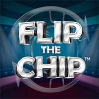 flip-the-chip-slot