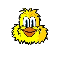 fowl-play-gold-ducklingsymbol