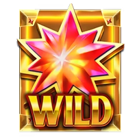 super-star-wild2